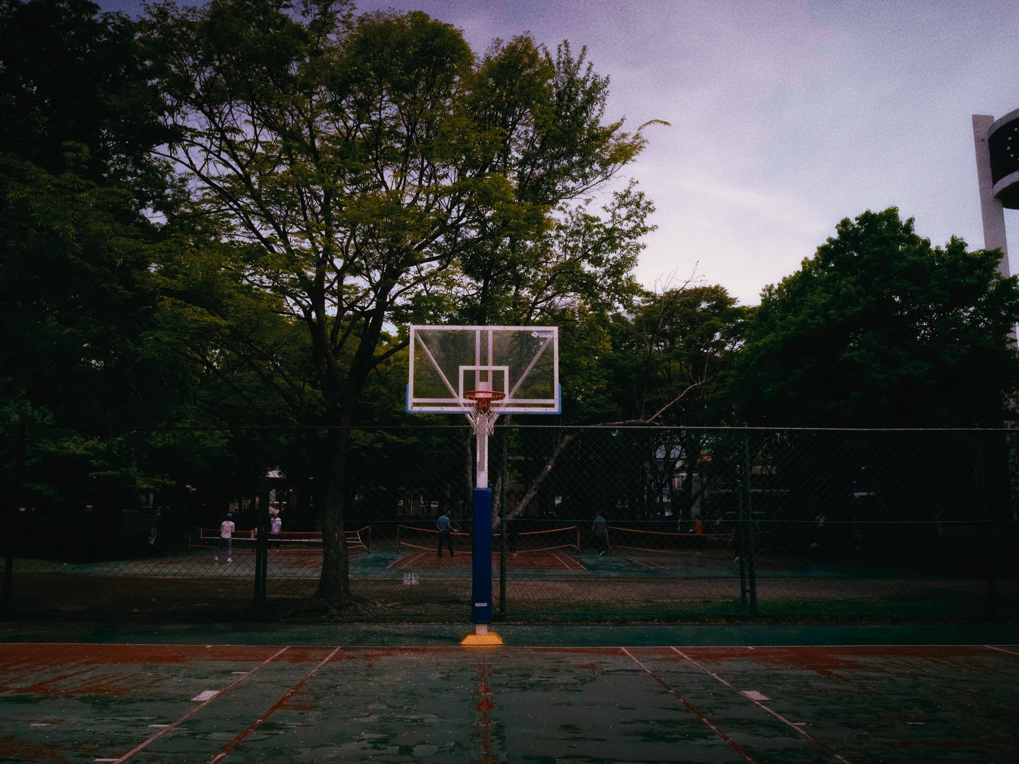 basketball-hoop